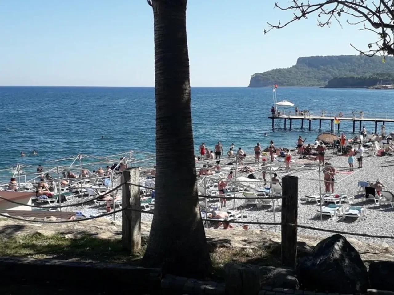 3 Şehit Polis C. Ilgaz Caddesi - 2