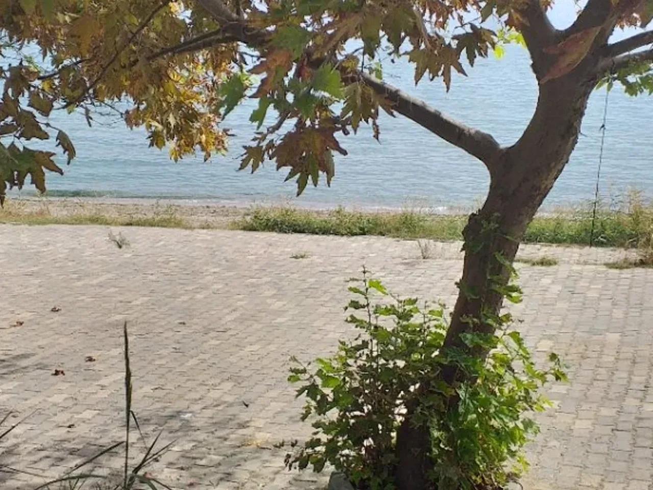 5 Dikmen Sokak - 1