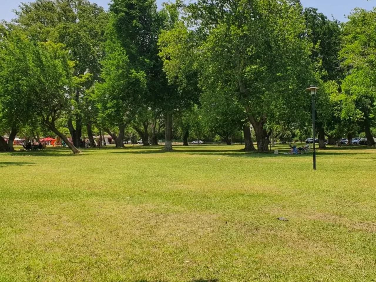 Abacı, - 2