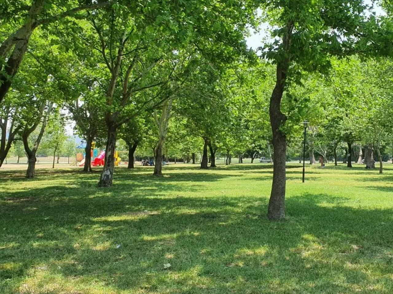 Abacı, - 3