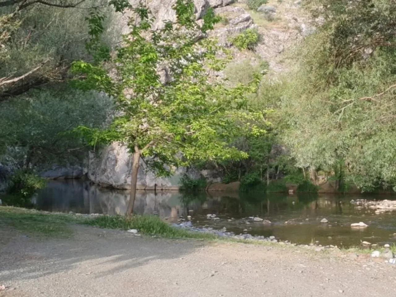 Abalı, - 1