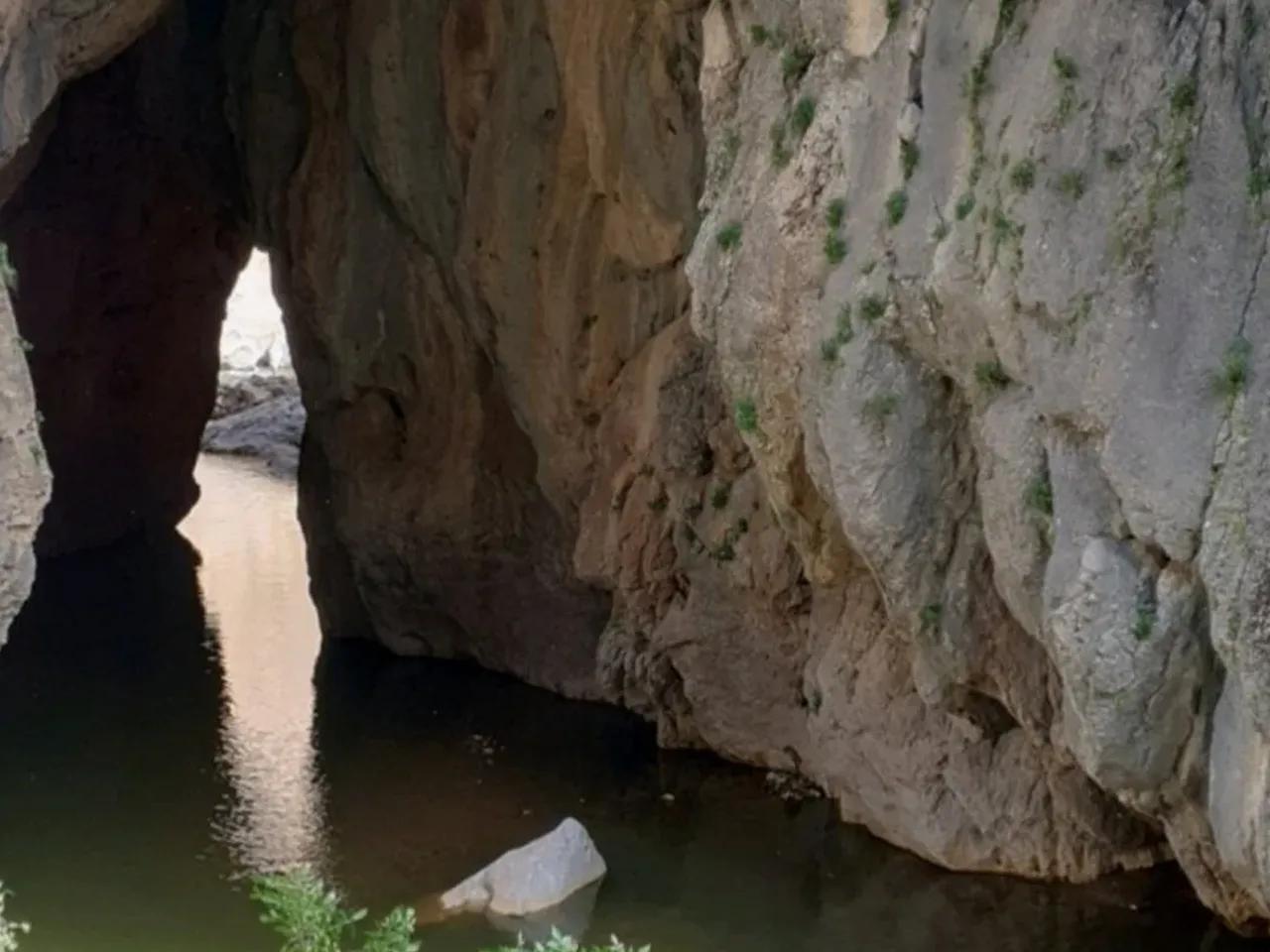Abalı, - 2