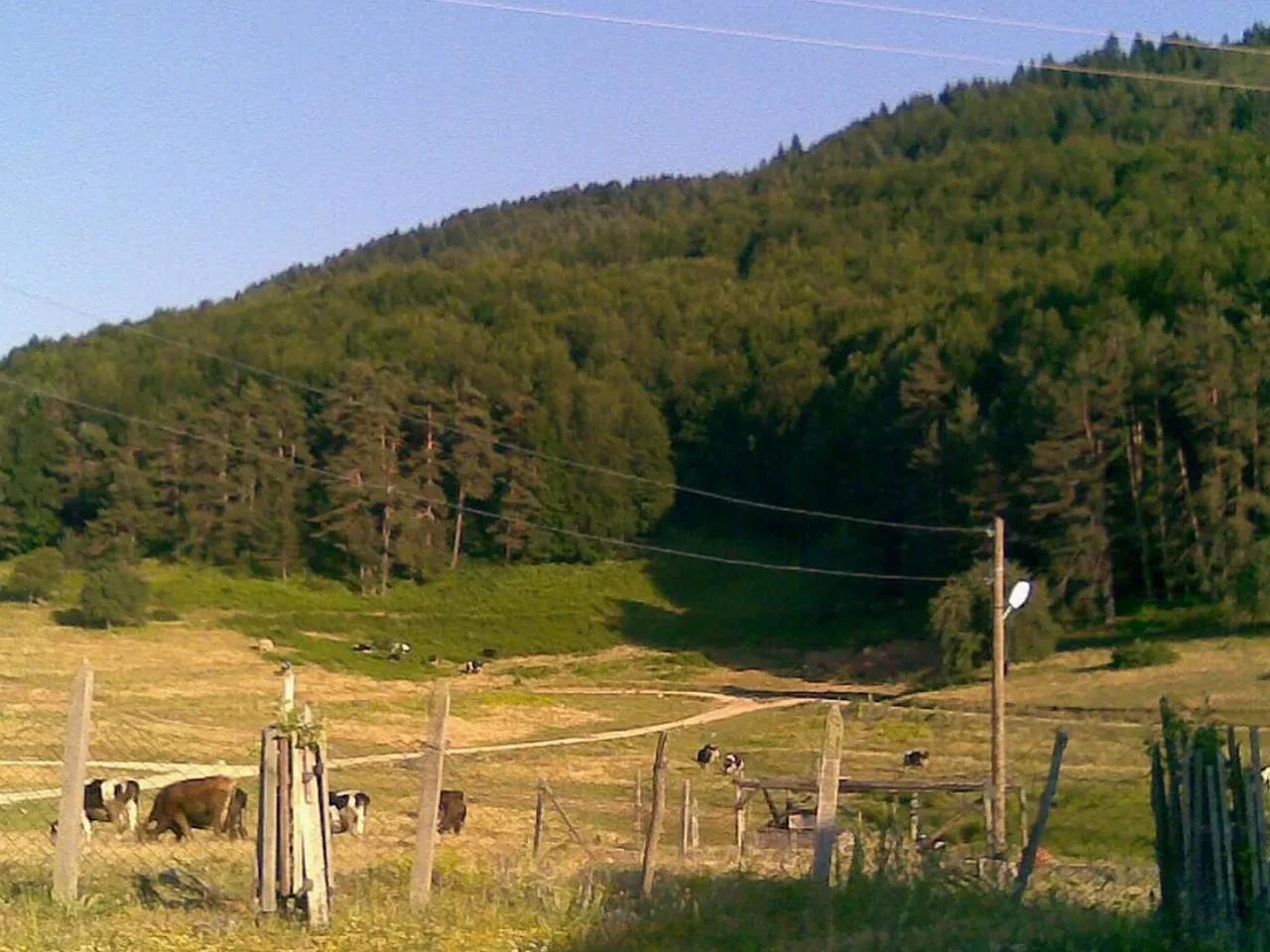 Abant Gölü Milli Parkı - 5