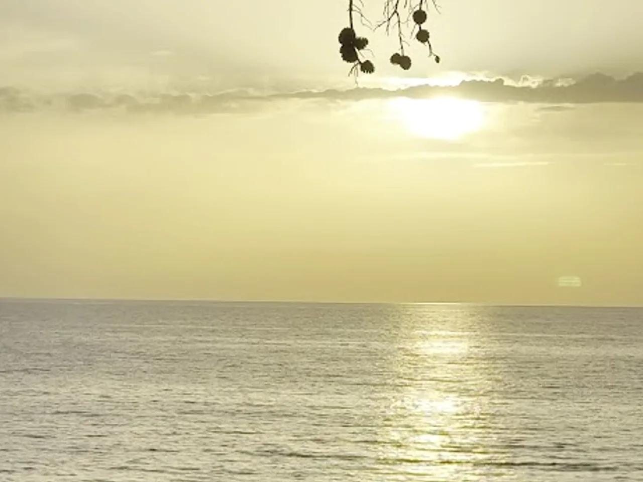 Actas Beach - 2