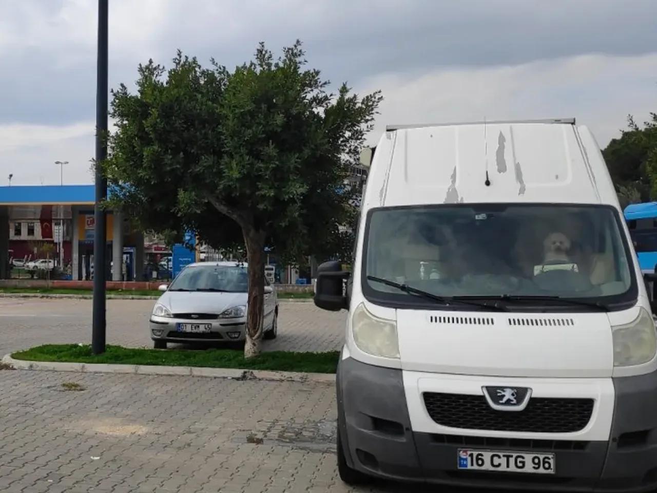 Adana,5 26028. Sokak - 2