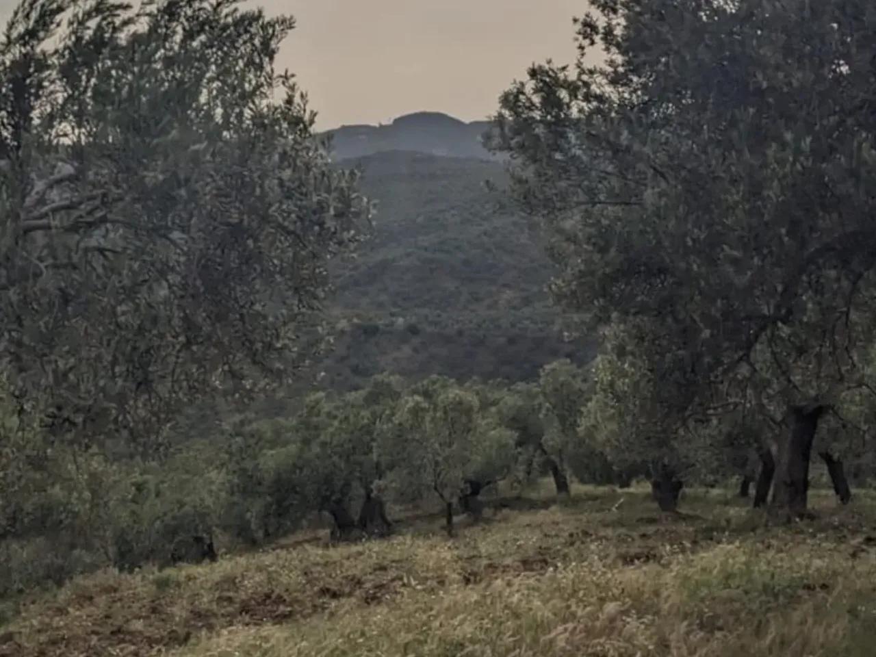 Adatepe,Adatepe Köyü Yolu - 3