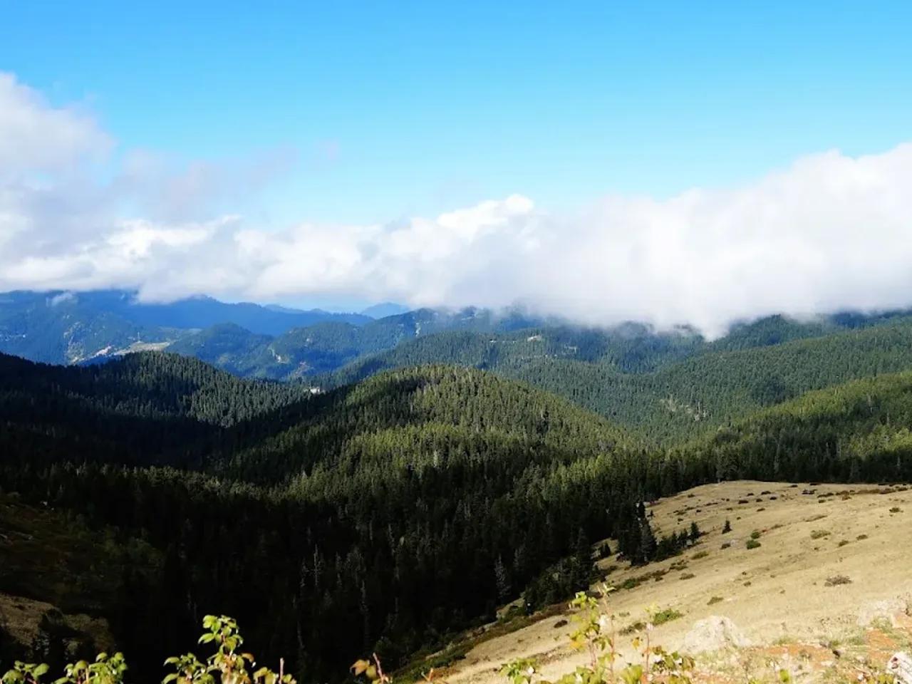 Ağaçbaşı Tabiat Parkı (Giresun)