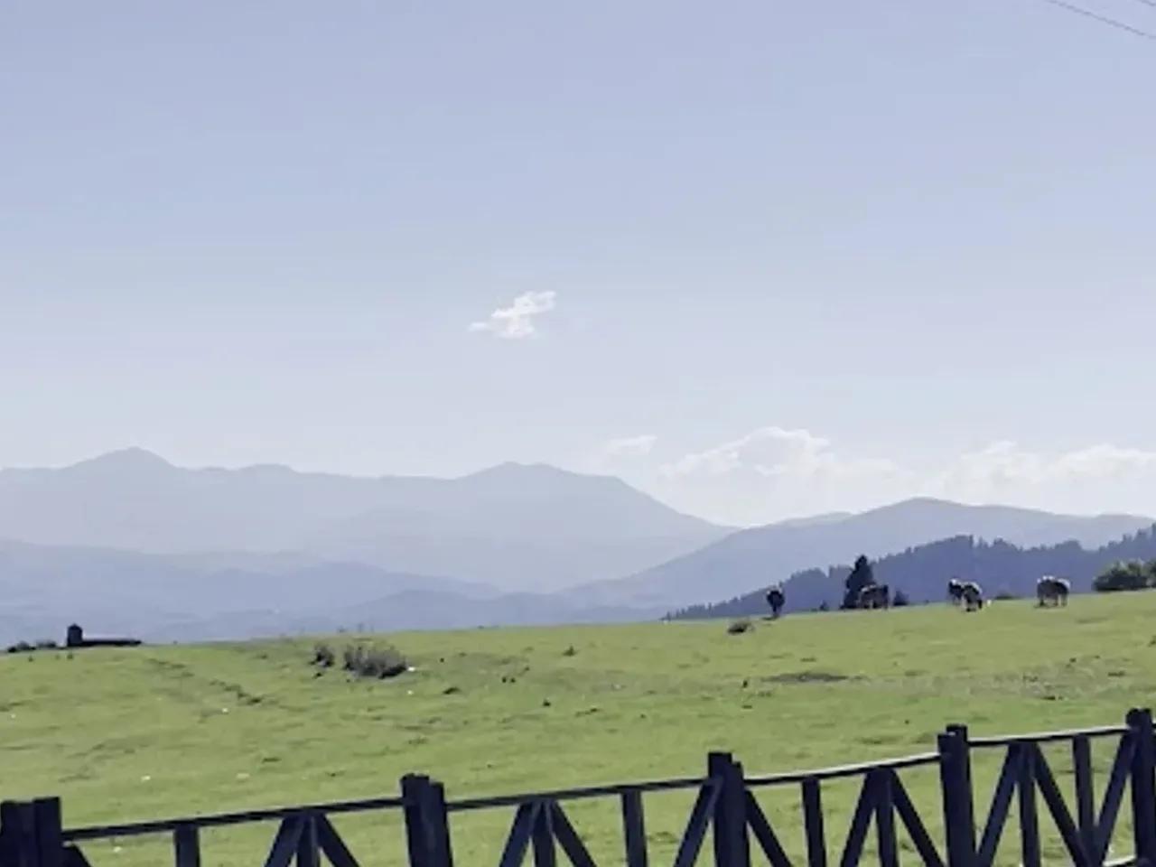 Ağaçbaşı Tabiat Parkı (Giresun) - 2