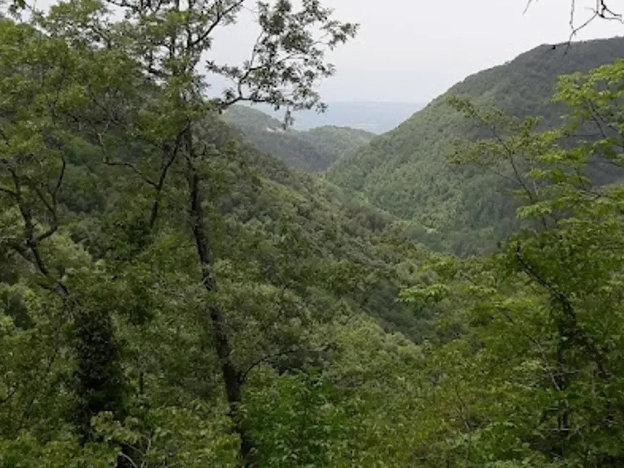 Ağoluk Yaylası