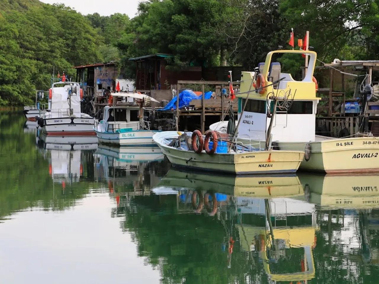 Ağva Kilimli Koyu - 1