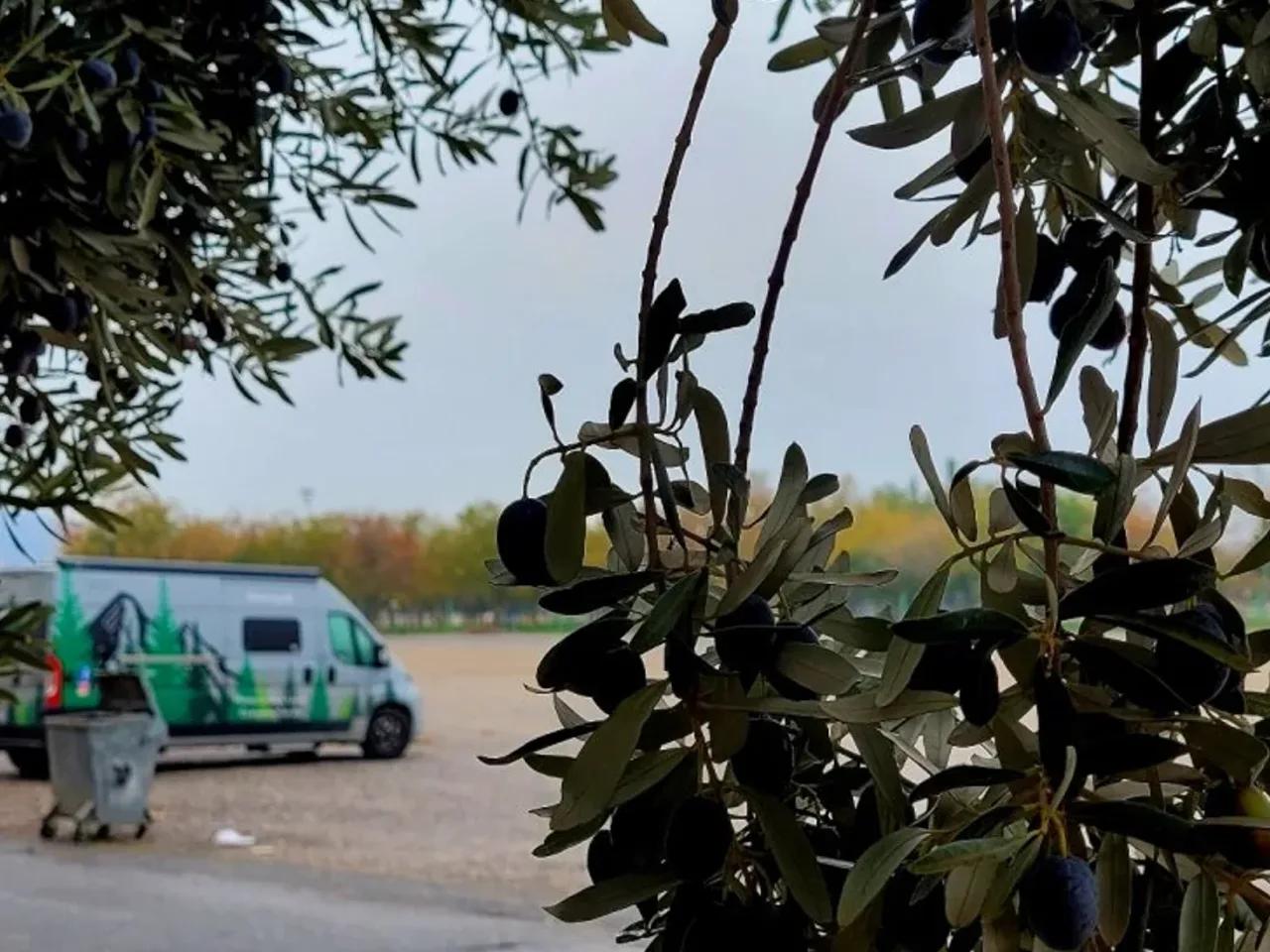 Akhisar,22 522. Sokak - 1