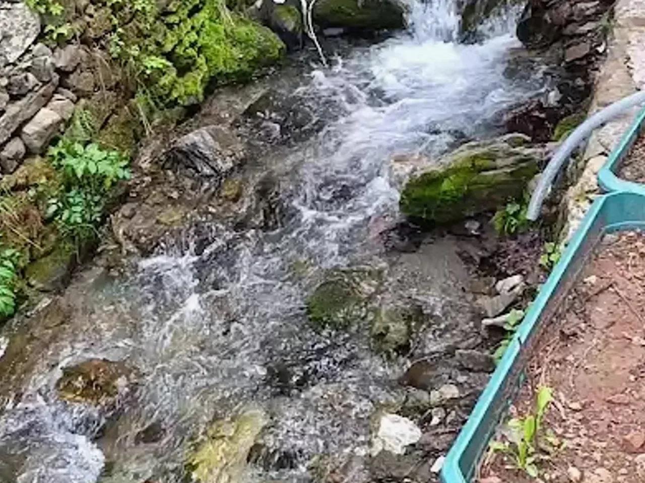 Akoluk Yaylası - 3