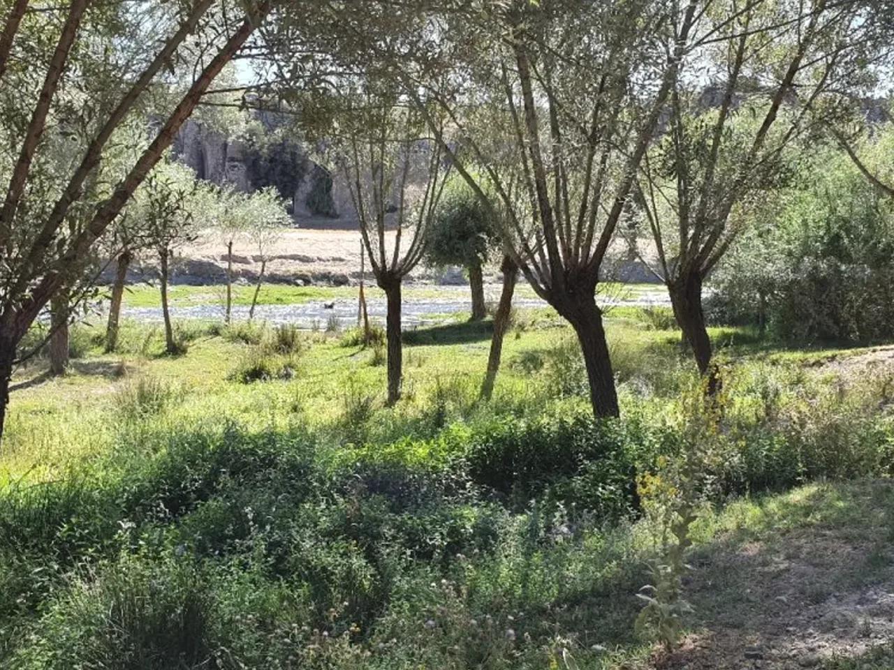 Aksaray Güzelyurt Yolu - 3