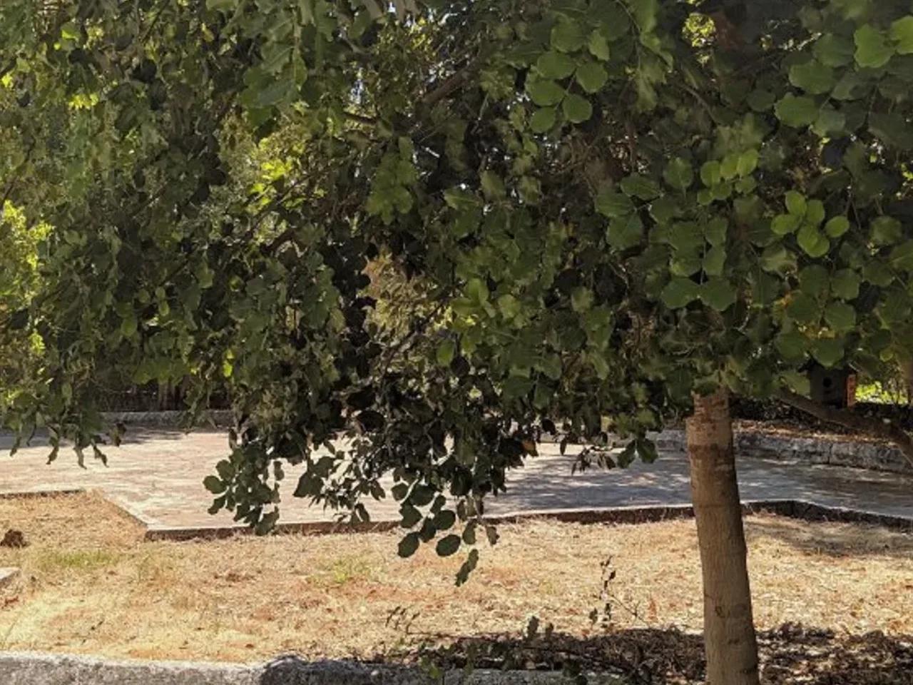 Aksu,Kurşunlu Belediyesi Yolu - 3