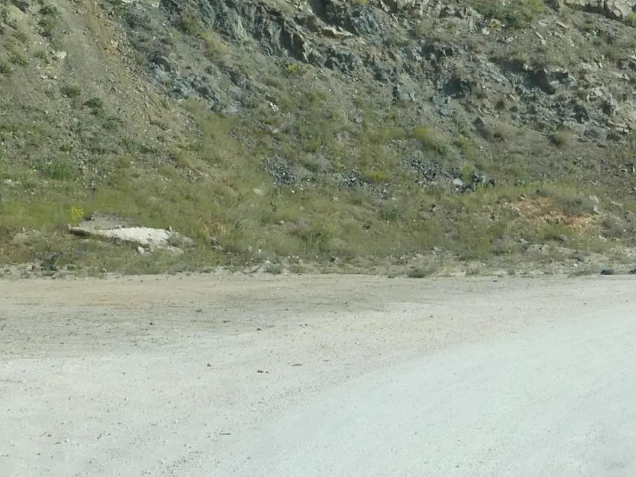 Aktaş - 1