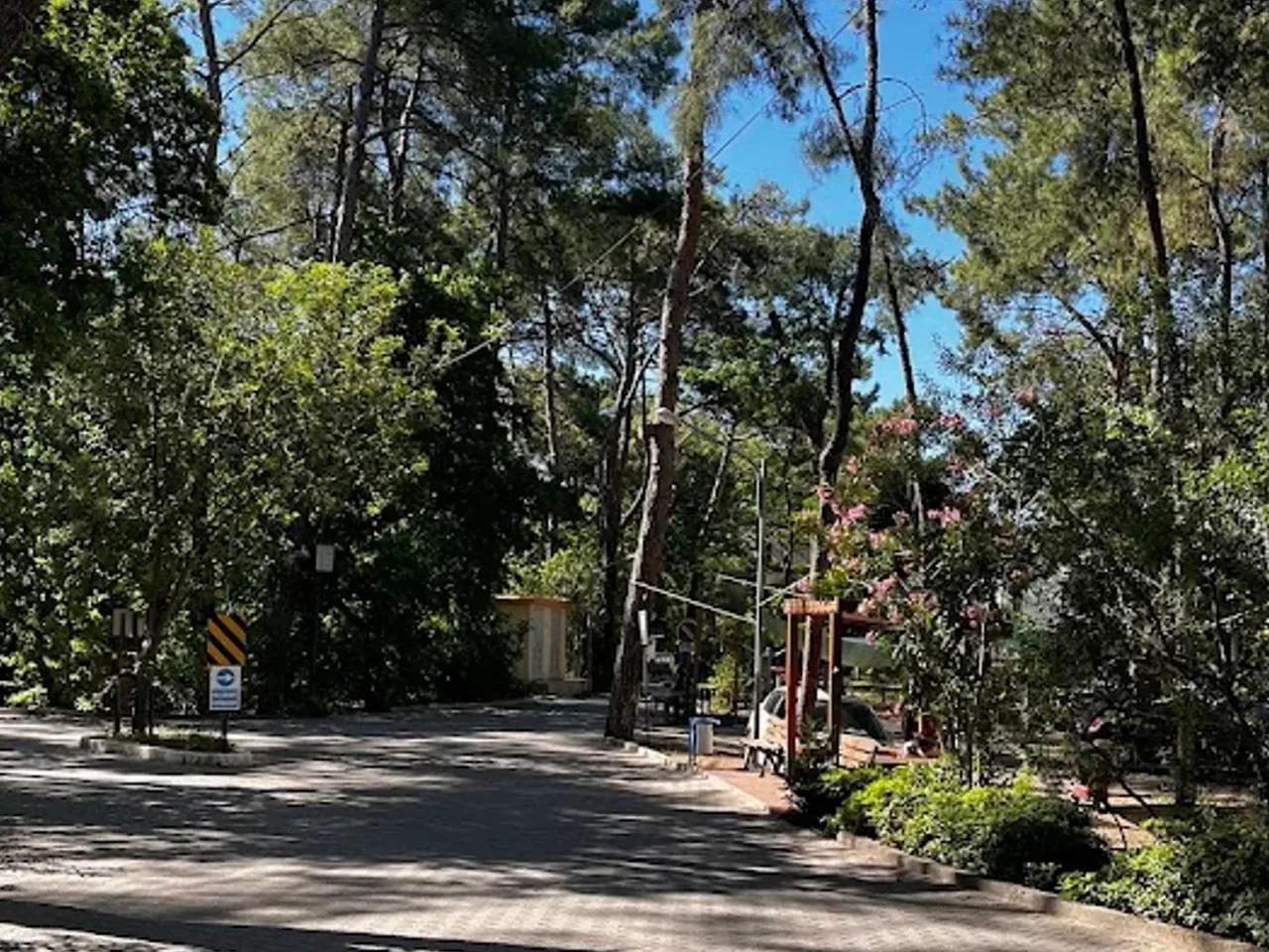 Aktur Tatil Sitesi - 2