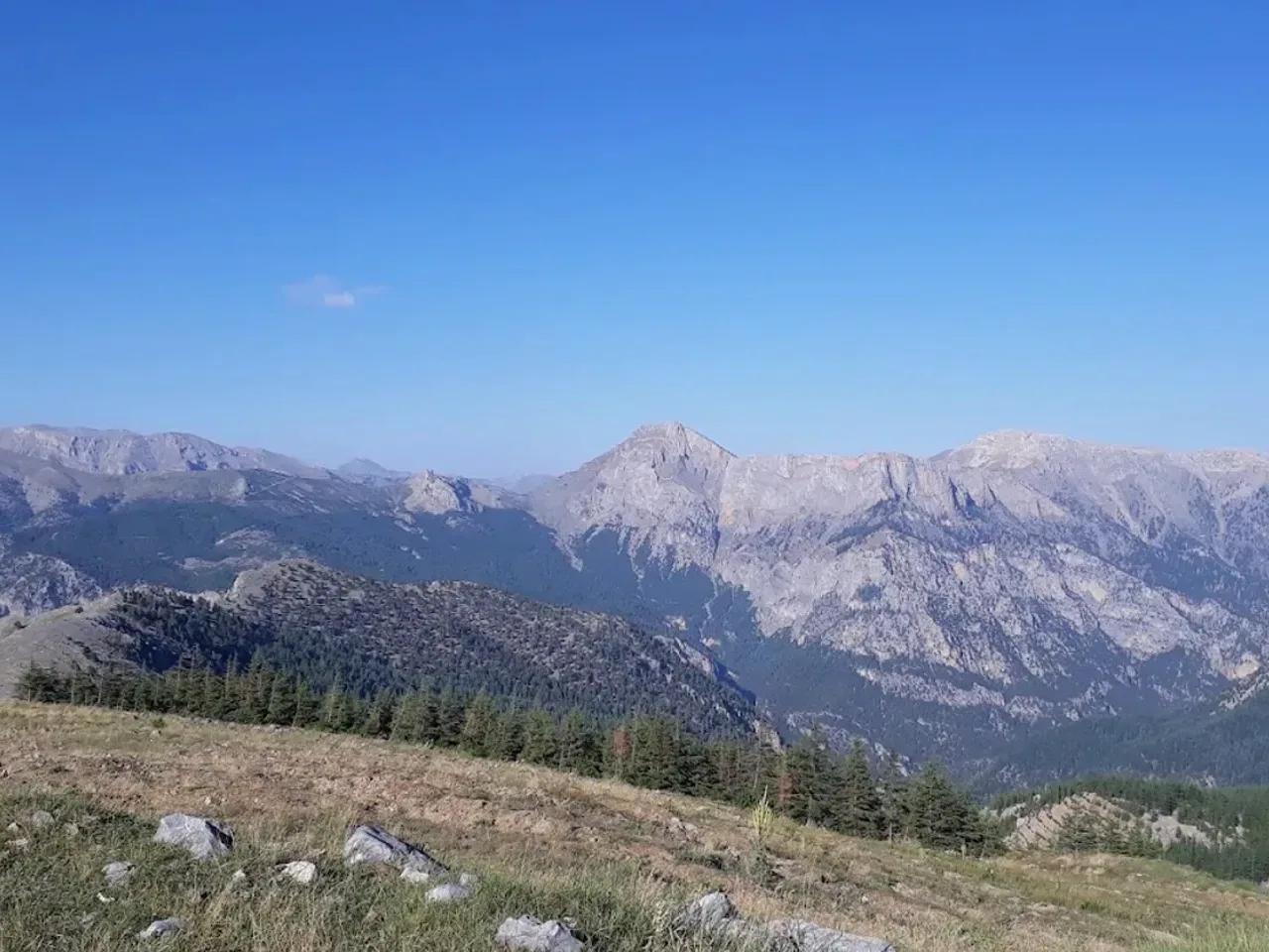 Akyar Koyu Kamp Alani