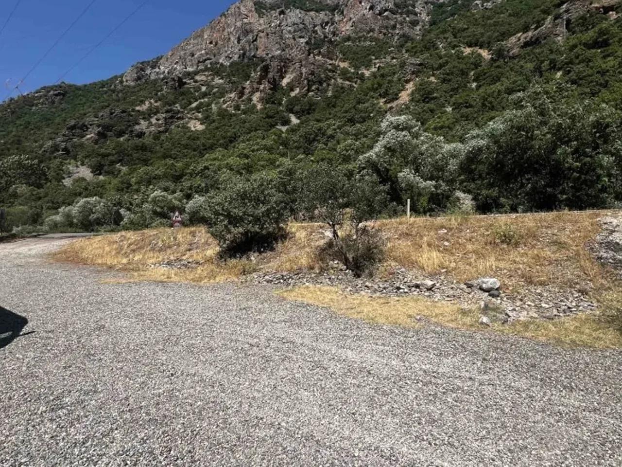 Alacık,Erzincan-Tunceli yolu - 1