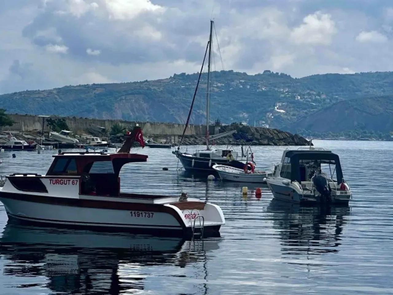 Alaplı,D010 - 1
