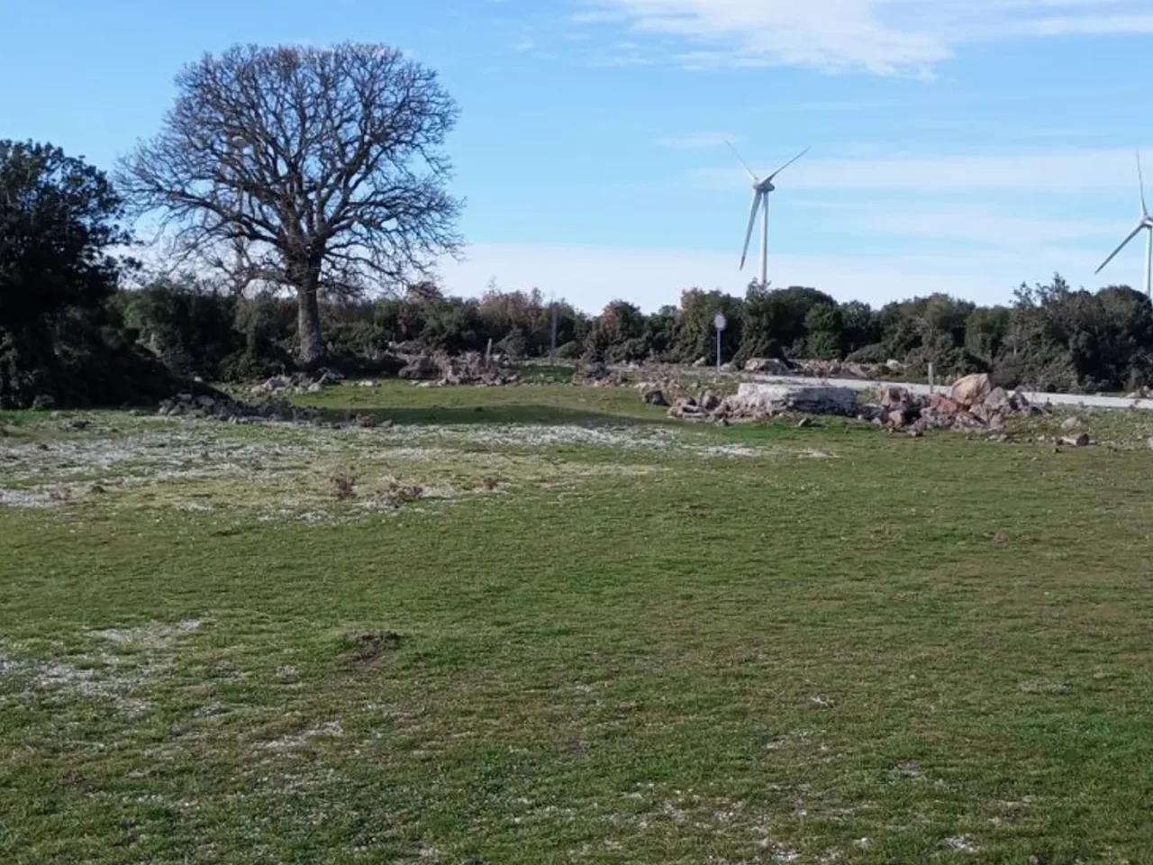 Aliağa - 1