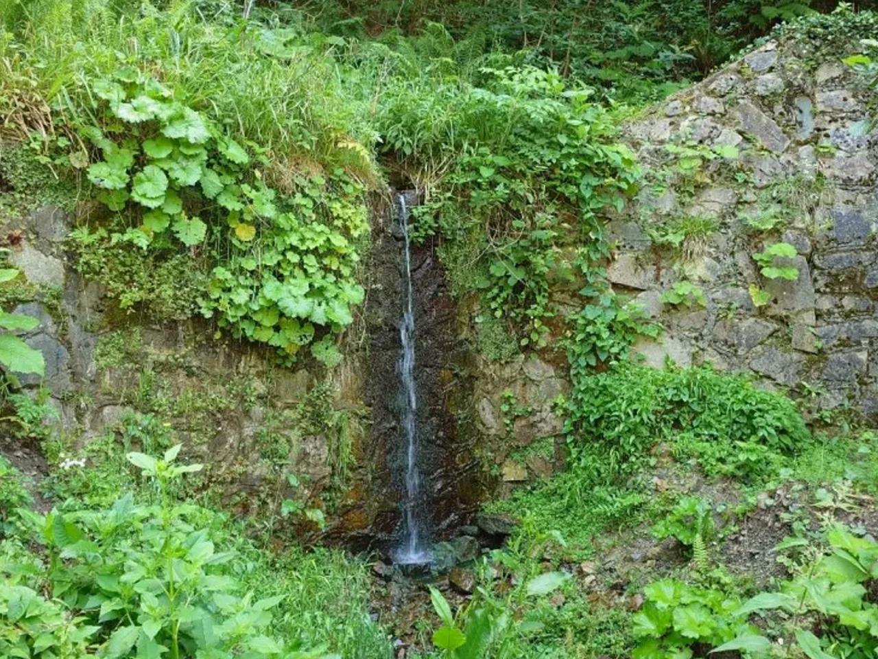 Altındere, - 3