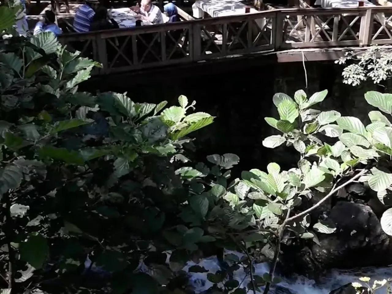 Altındere Vadisi Milli Parkı - 3