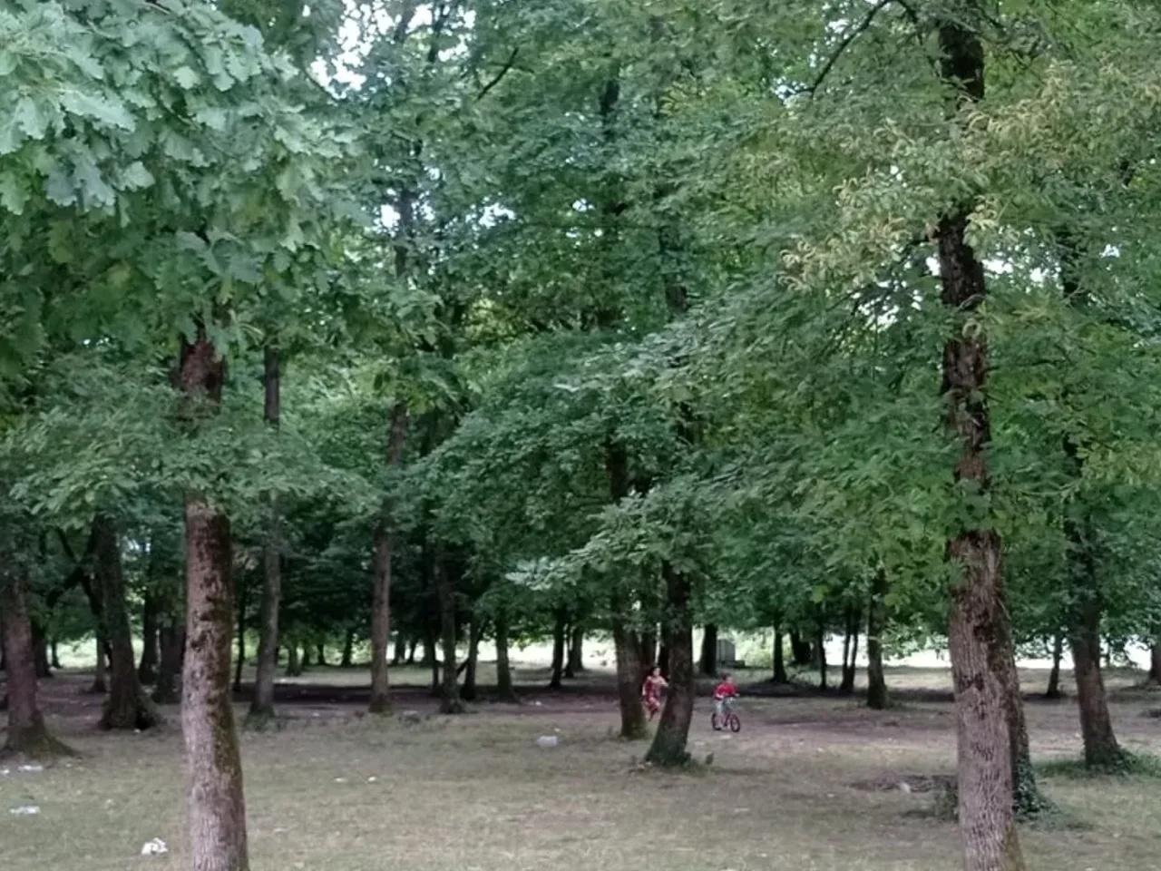 Altınpınar,Düzce Atatürk Devlet Hastanesi - 1