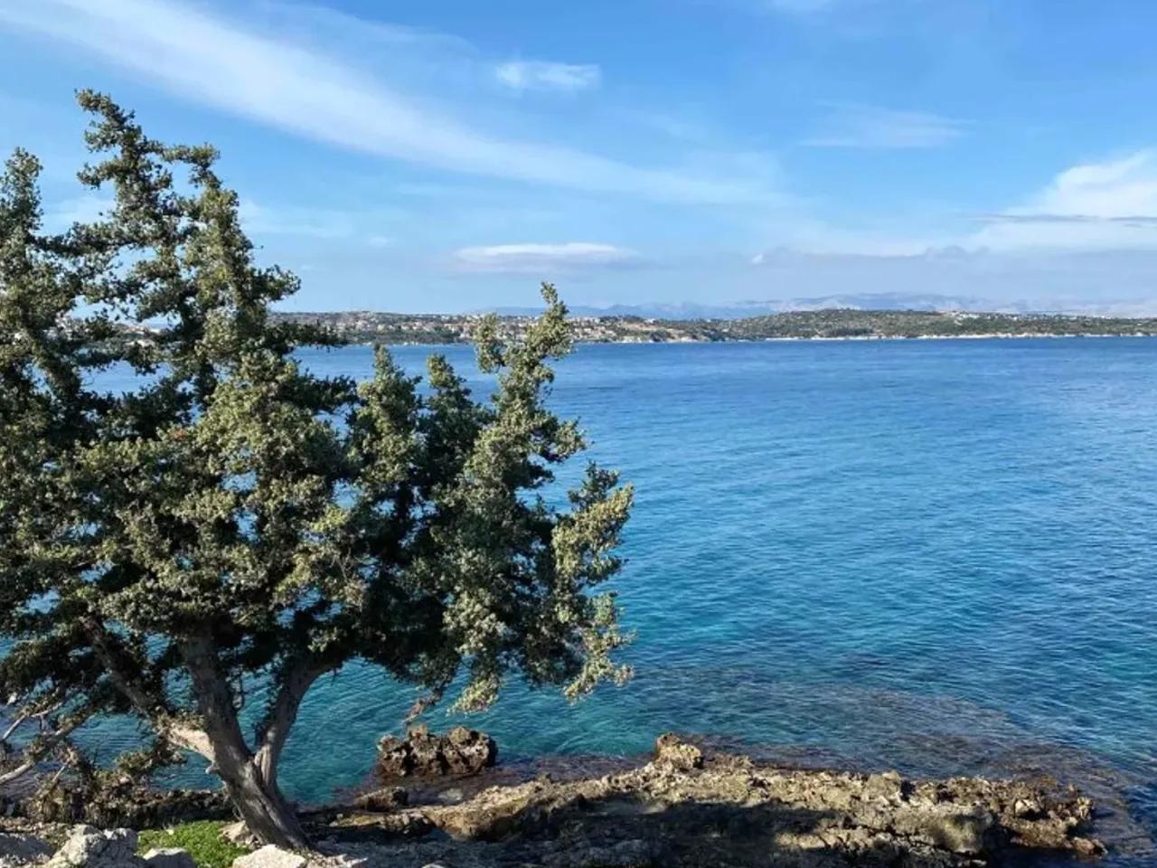 Altınyunus,33 3408. Sokak - 1