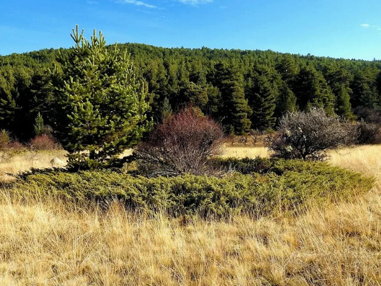 Aluçdağı Tabiat Parkı