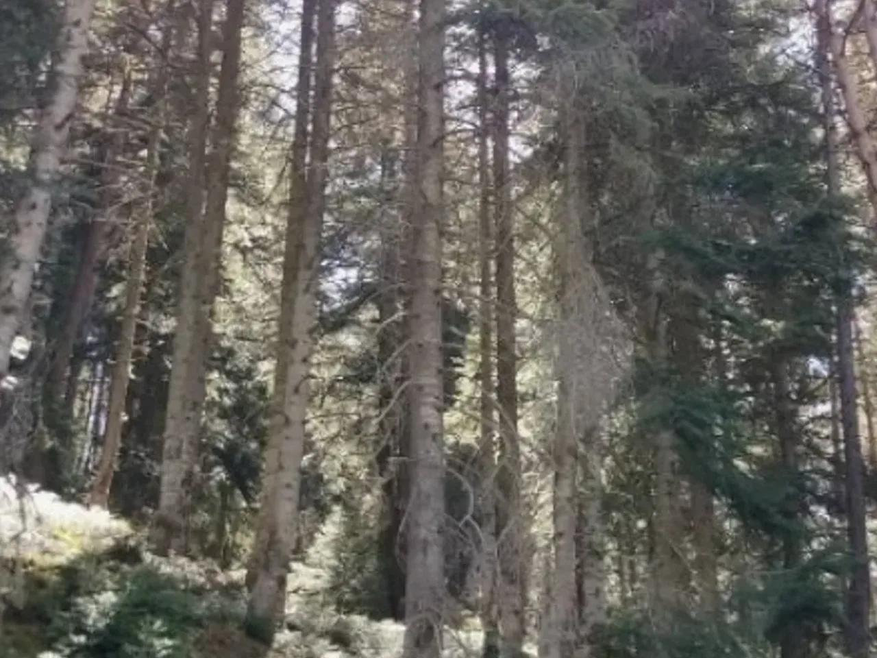 Ankara Bolu Yolu - 1
