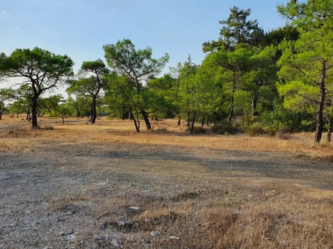 Antalya - 1