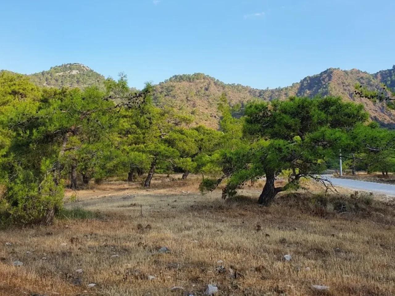 Antalya - 2