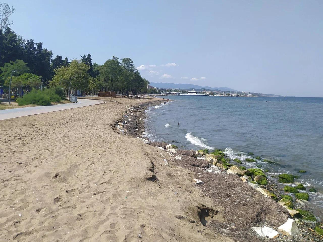 Araştırma Sahili Plajı - 2