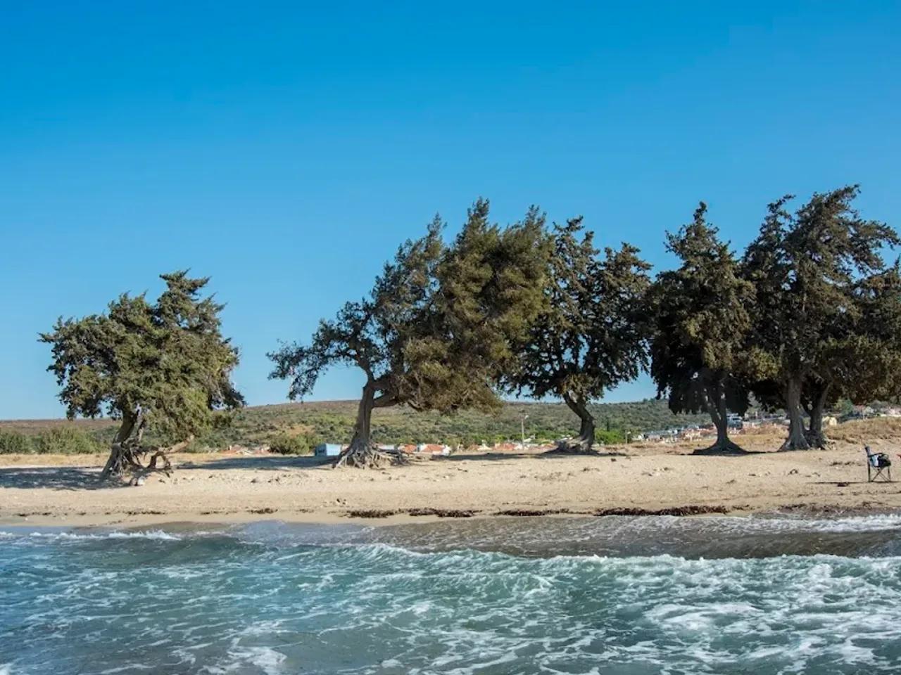 Ardıç Plajı - 5