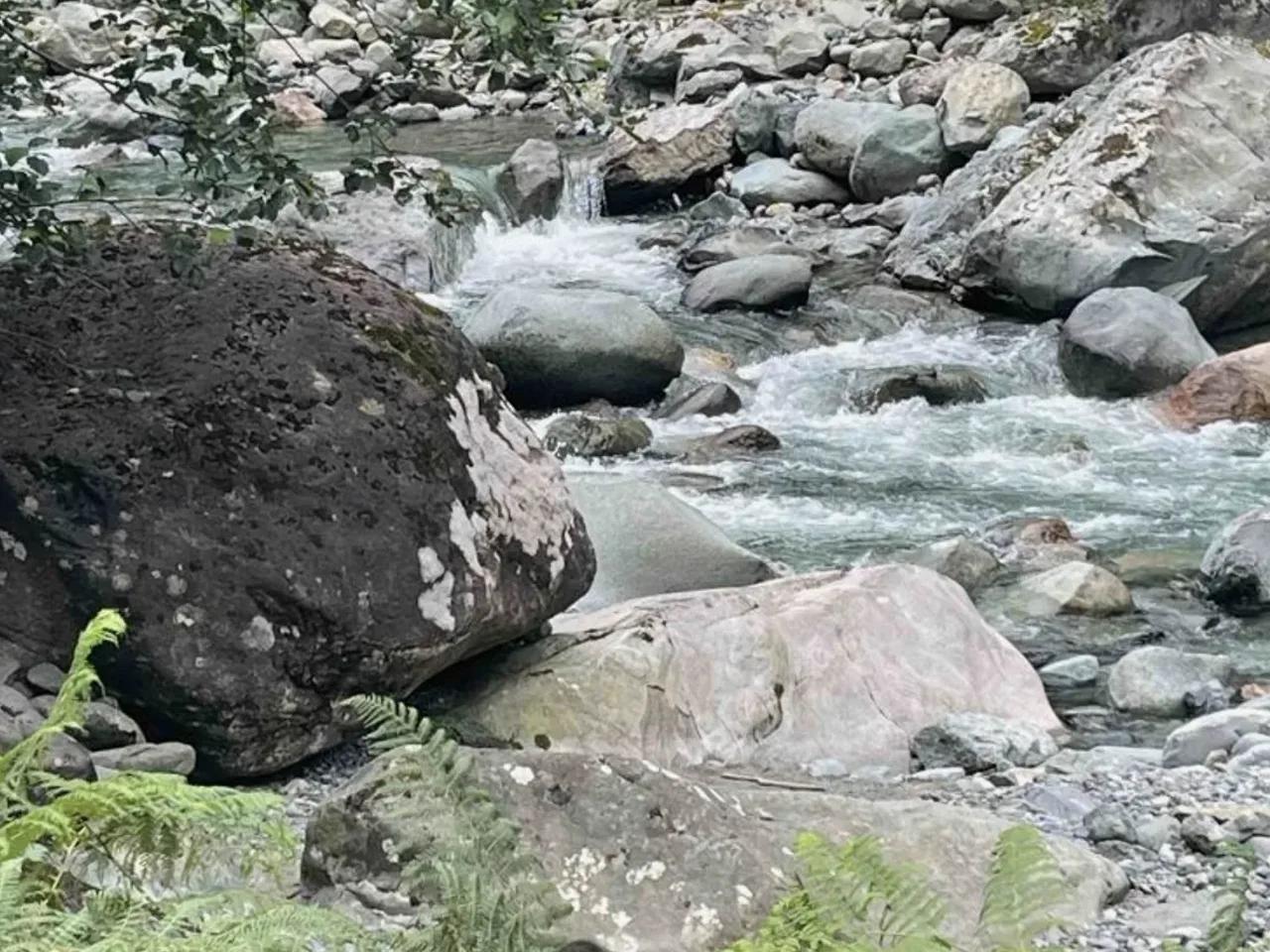 Arılı, Arhavi - 2