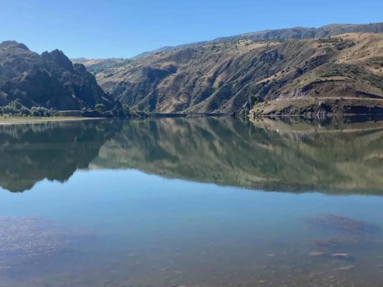 Arpacı, - 1