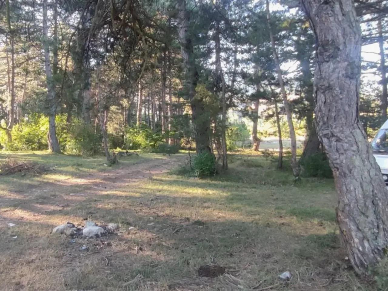 Aşağı, - 3