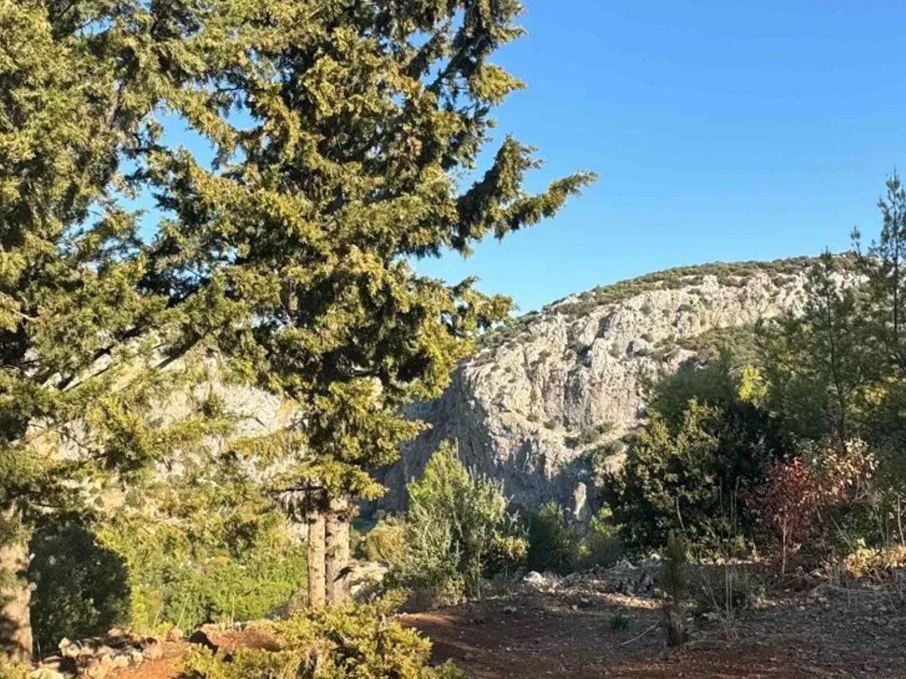 Aşağıkaraman, - 1