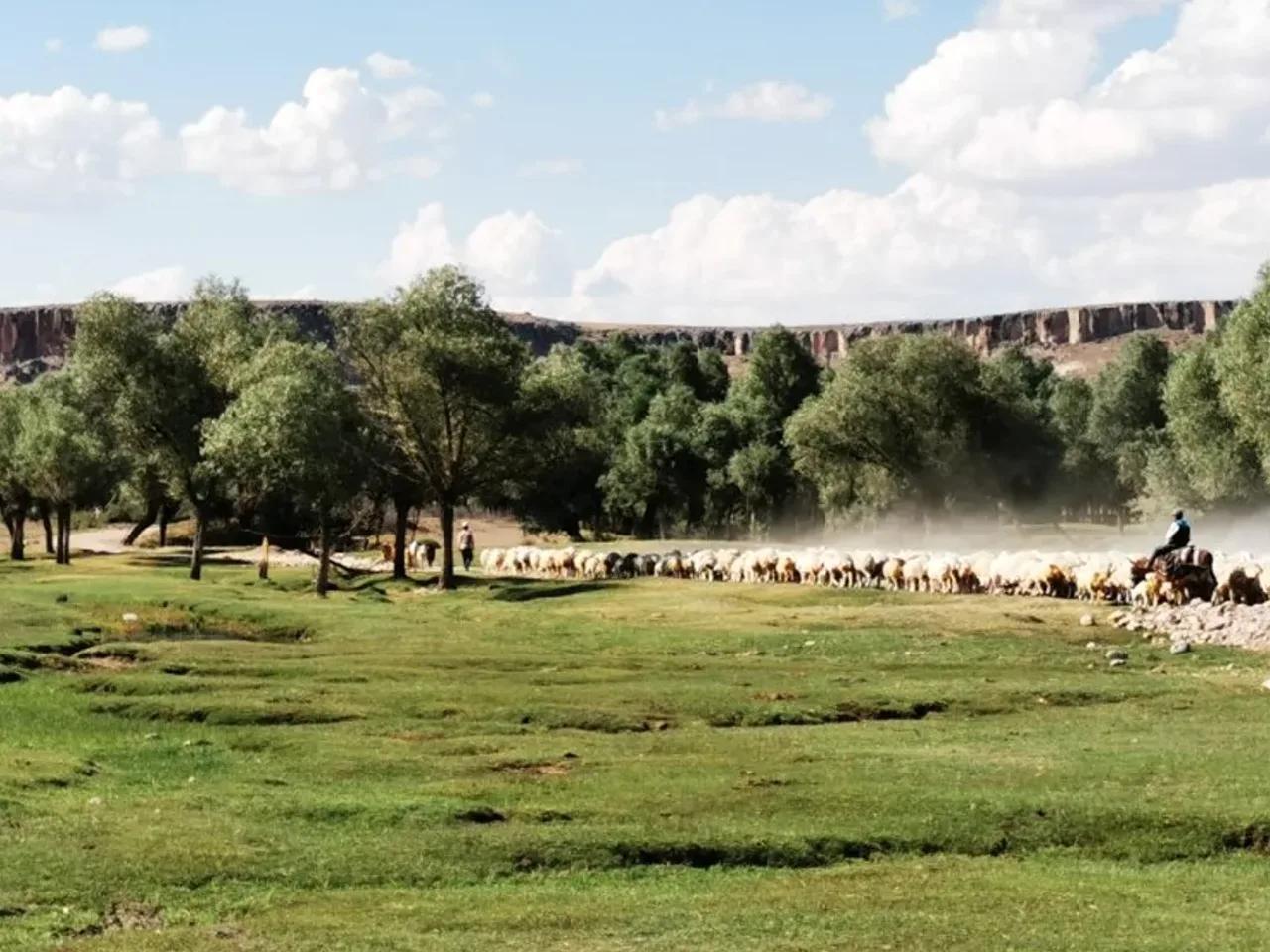Aşıklıhöyük Yolu - 2