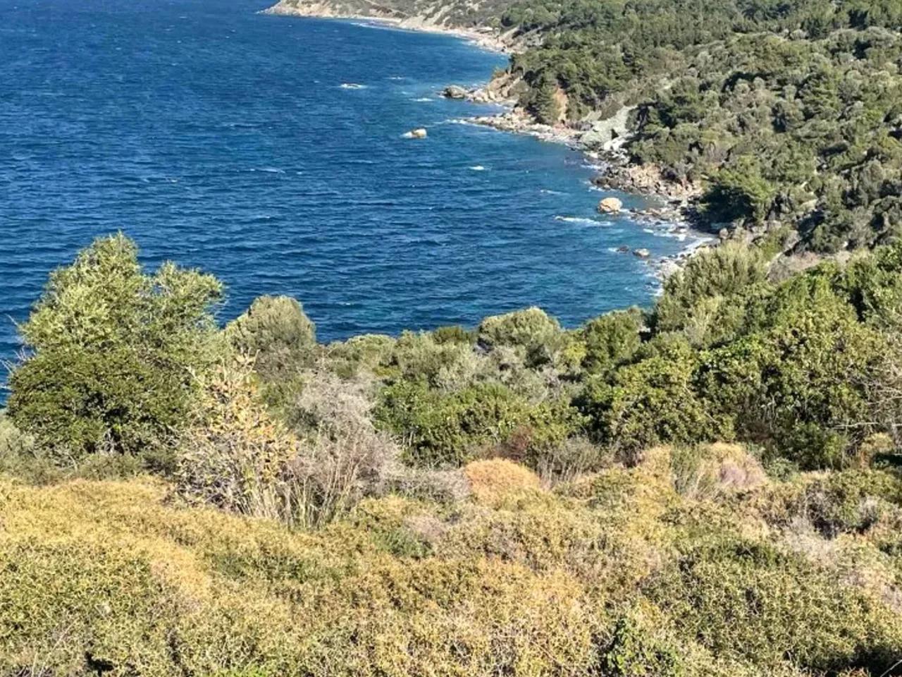 Atatürk, - 2