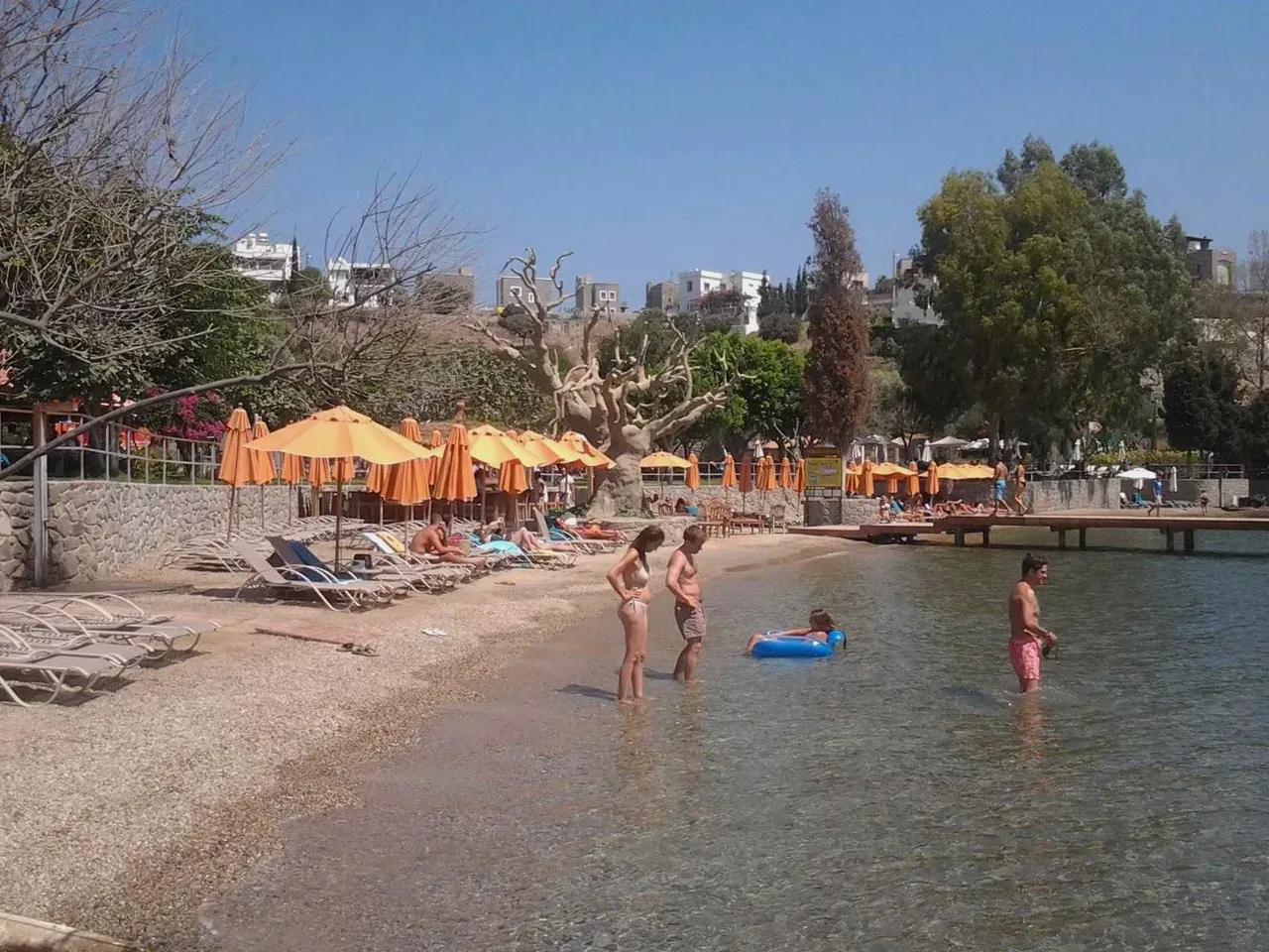 Avantgarde Otel Plajı - 2