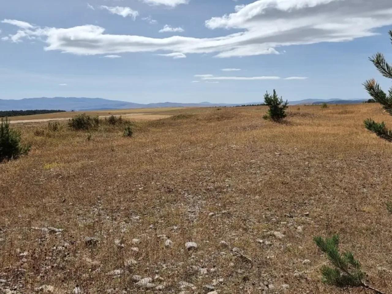 Avcılar , - 1
