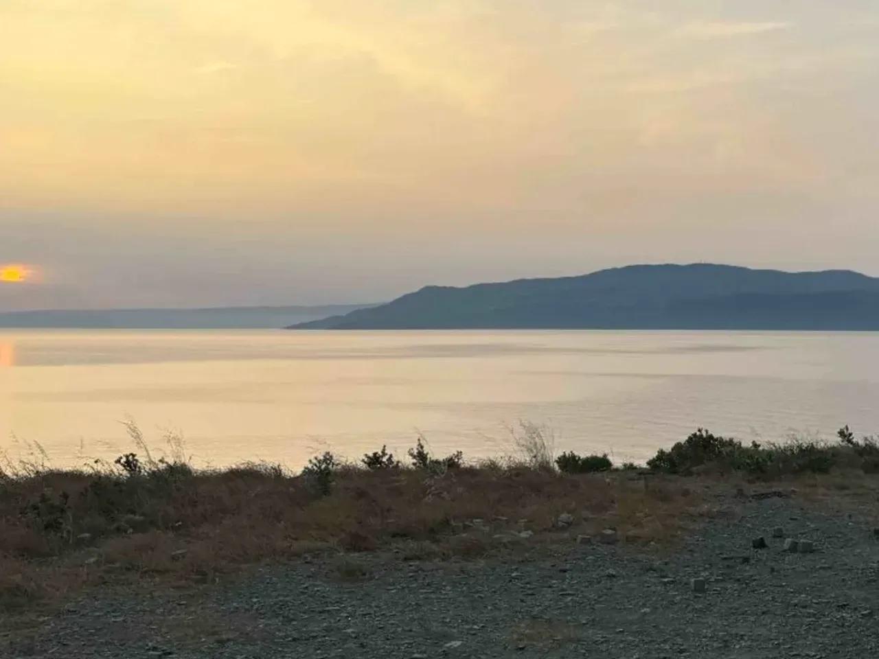 Avşa Adası