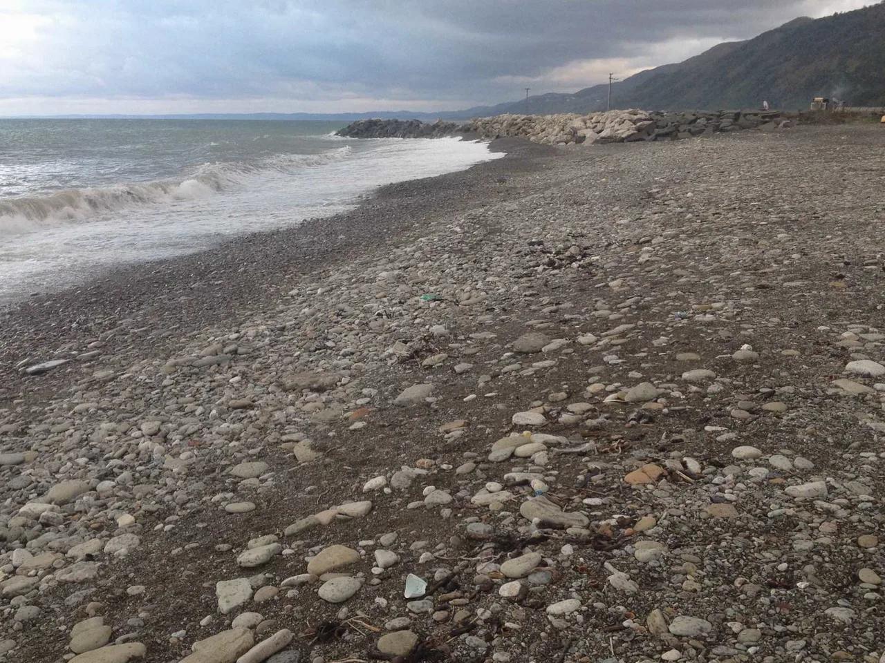 Ayancık Köyü Plajı