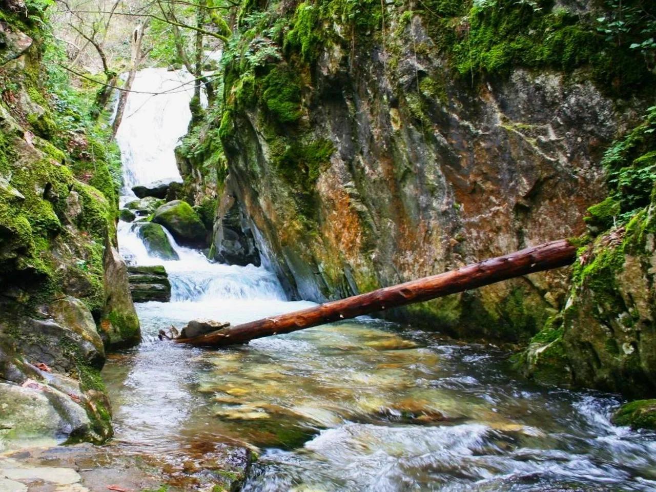 Ayazmapınarı Tabiat Parkı