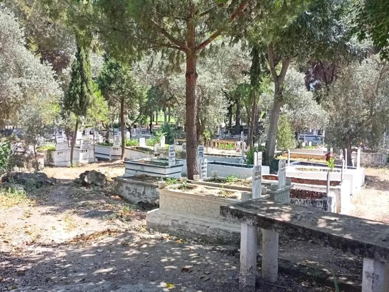 Aydin,13 Köyiçi Sokak - 3