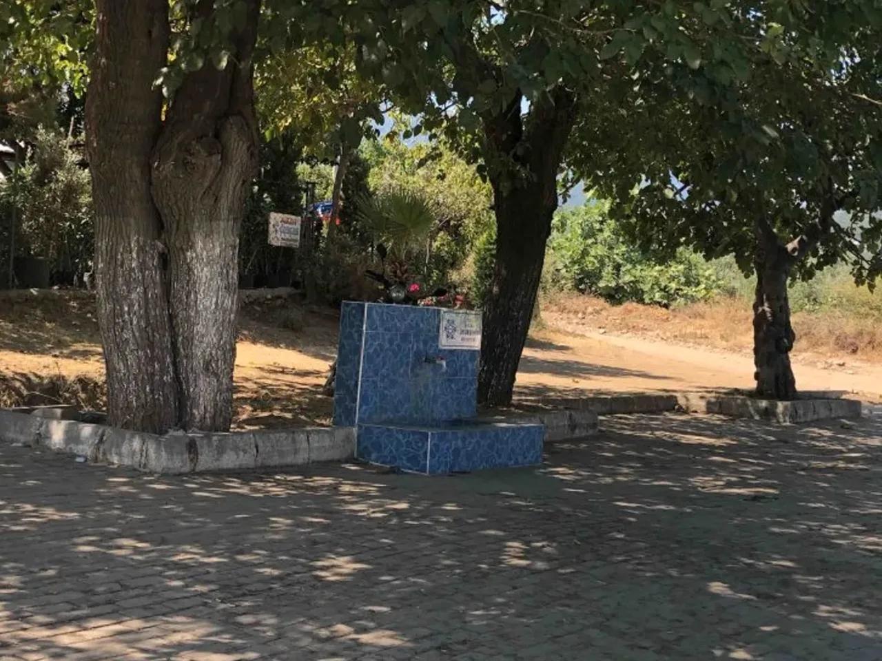 Aydın,Davutlar Güzelçamlı Yolu - 1