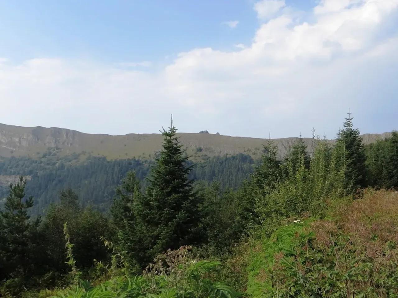Ayıkayası Tabiat Parkı