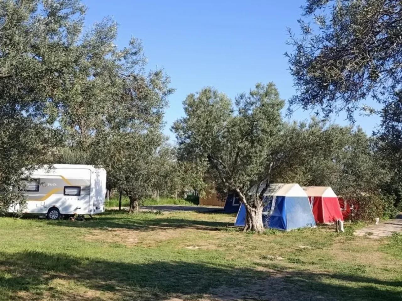 Ayvacık - 2
