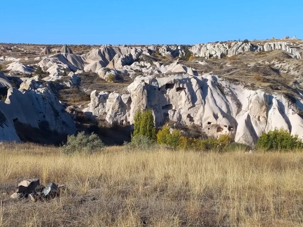Ayvalı, - 1